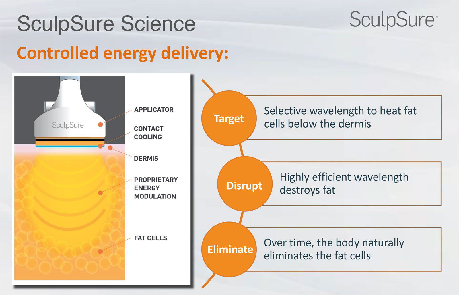 sculpsure diagram